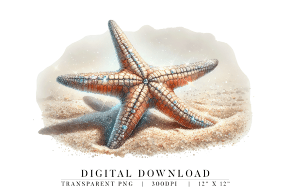 Download Sparkle Starfish Beach PNG - Premium Resources
